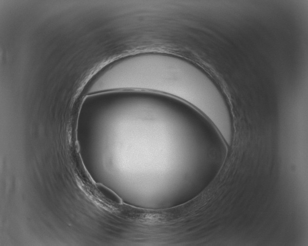 X0000085820060200703161107