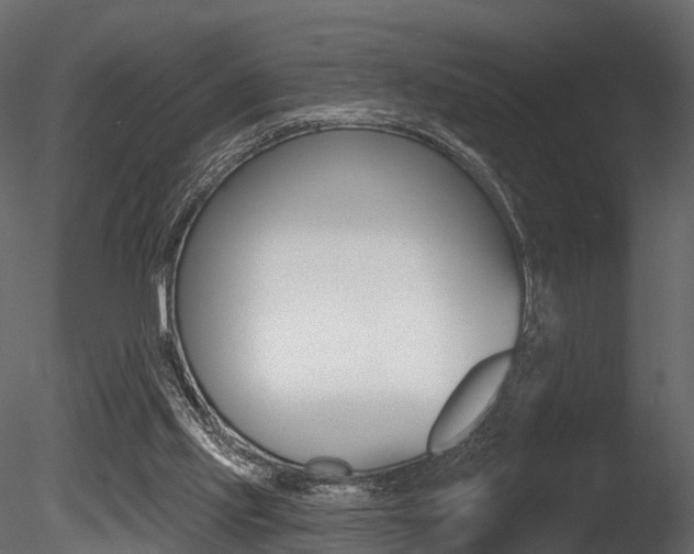 X0000085820061200703161107