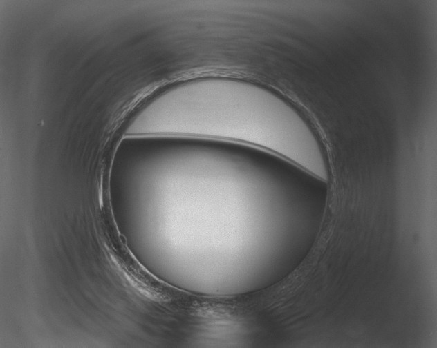 X0000085820062200703161107