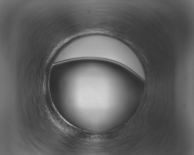 X0000085820064200703161107