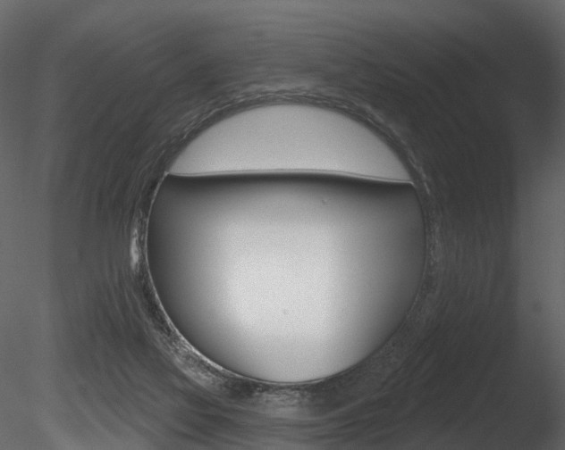 X0000085820069200703161107