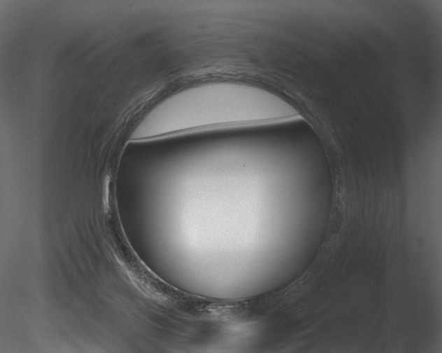 X0000085820070200703161107