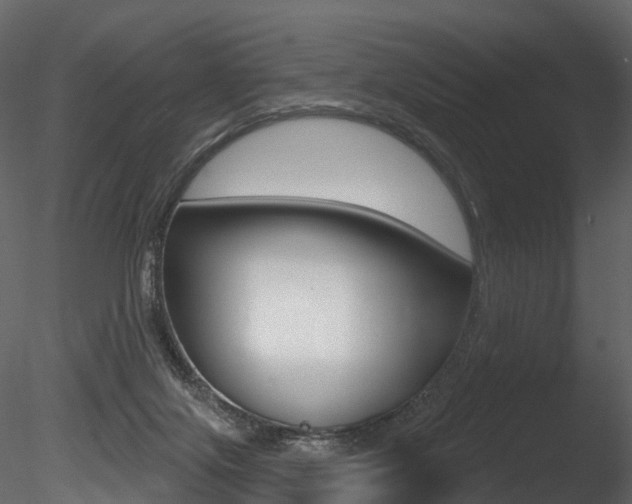 X0000085820071200703161107