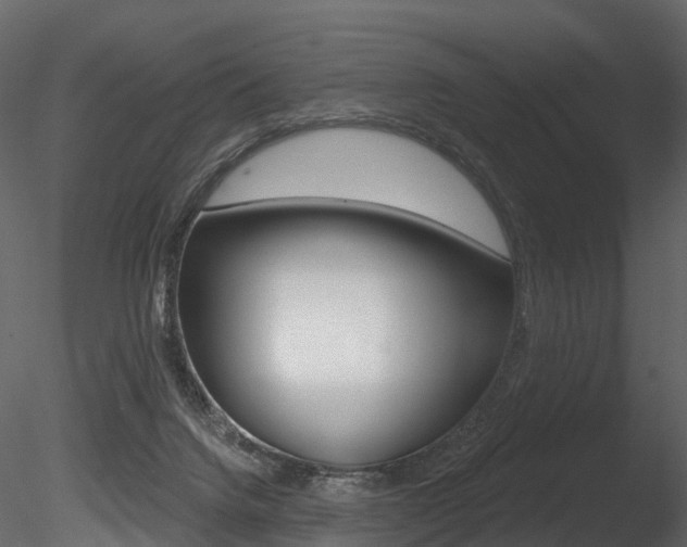 X0000085820072200703161107