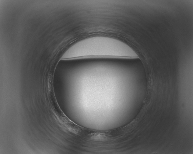 X0000085820074200703161107