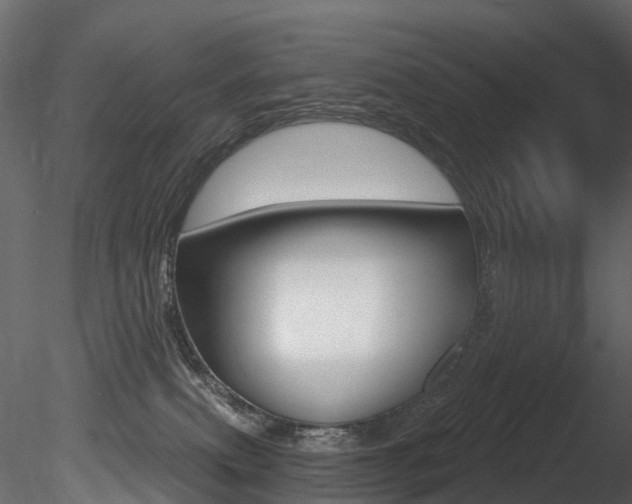 X0000085820087200703161107