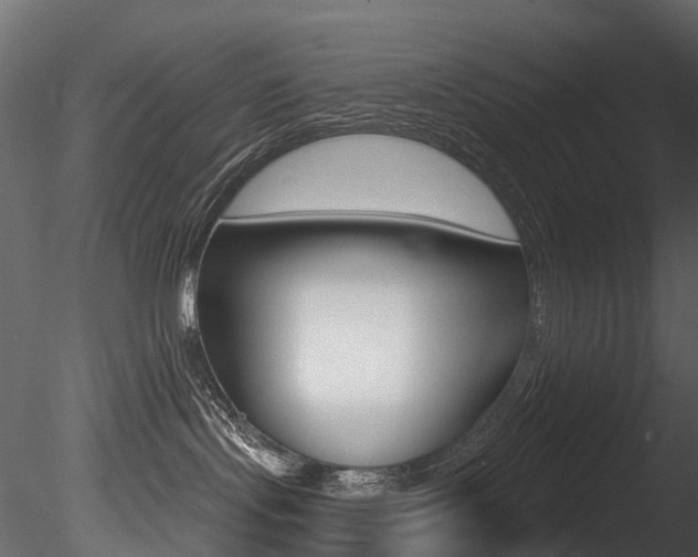 X0000085820095200703161107