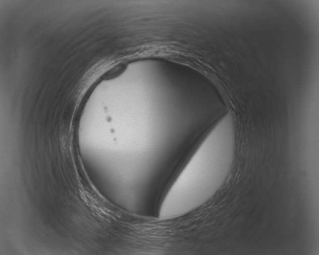 X0000085820100200703161107