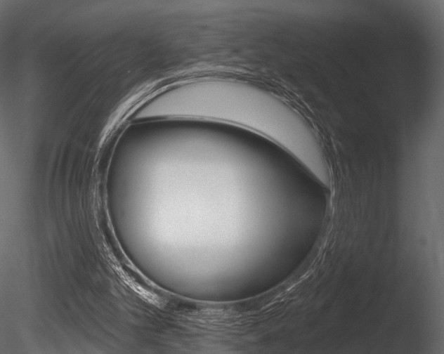 X0000085820101200703161107