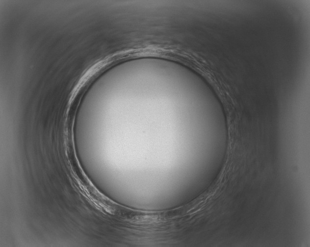 X0000085820102200703161107
