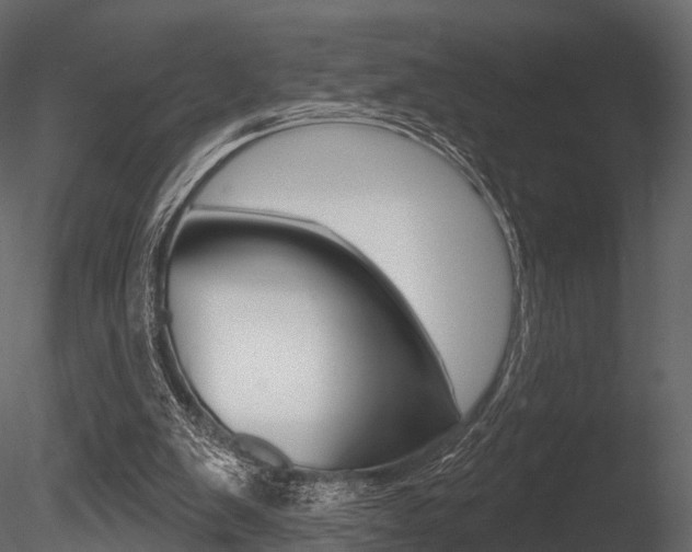 X0000085820103200703161107