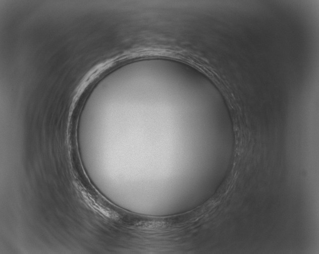 X0000085820104200703161107