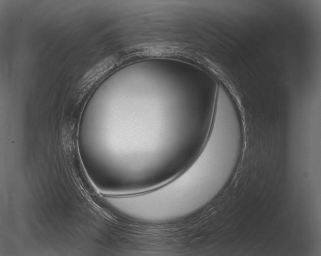 X0000085820105200703161107