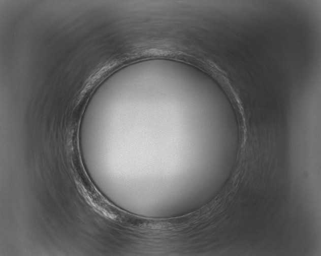 X0000085820106200703161106