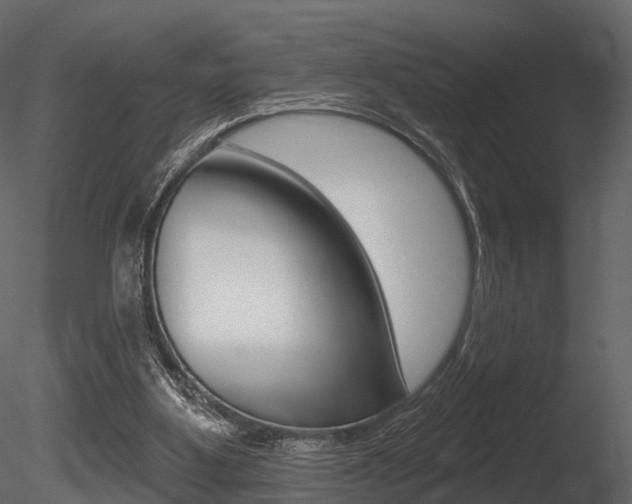 X0000085820107200703161106