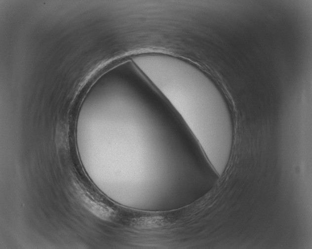 X0000085820108200703161106