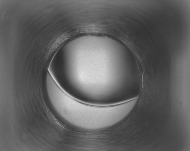 X0000085820109200703161106