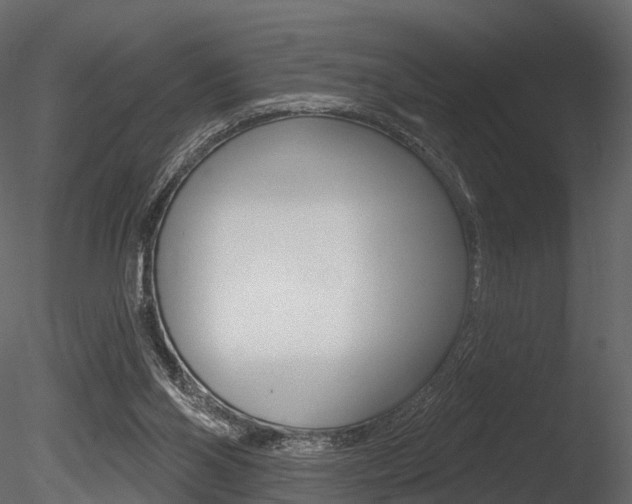 X0000085820110200703161106