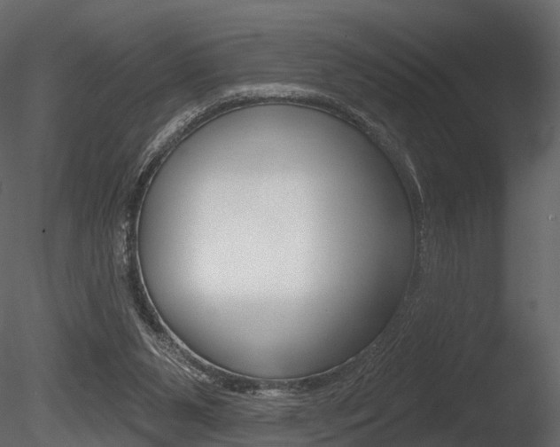 X0000085820111200703161106