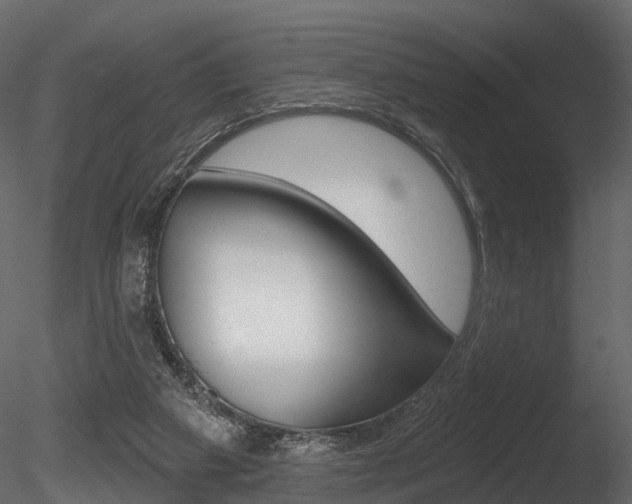 X0000085820113200703161106