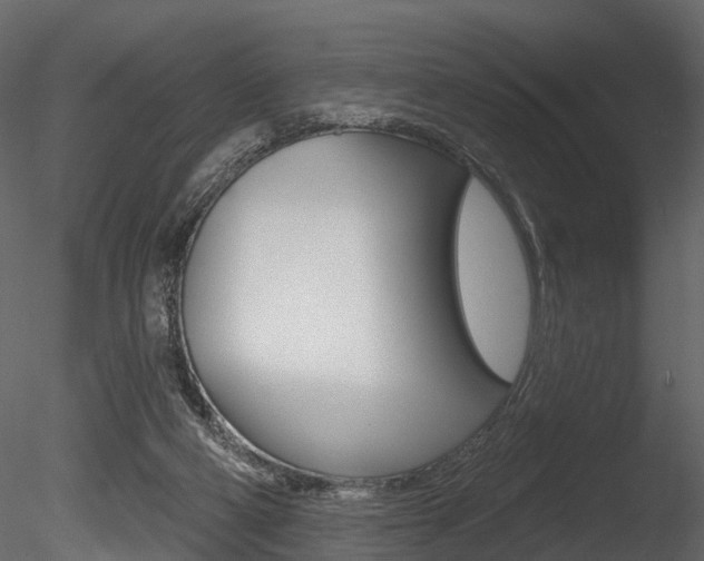 X0000085820114200703161106
