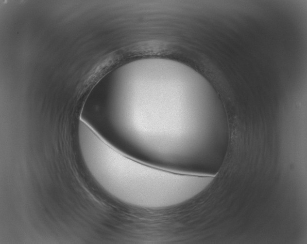 X0000085820119200703161106