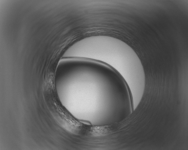 X0000085820141200703161106