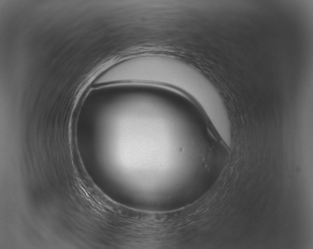 X0000085820148200703161105