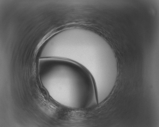 X0000085820150200703161105