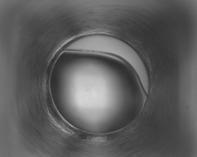 X0000085820156200703161105