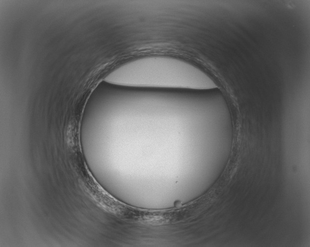 X0000085820161200703161105