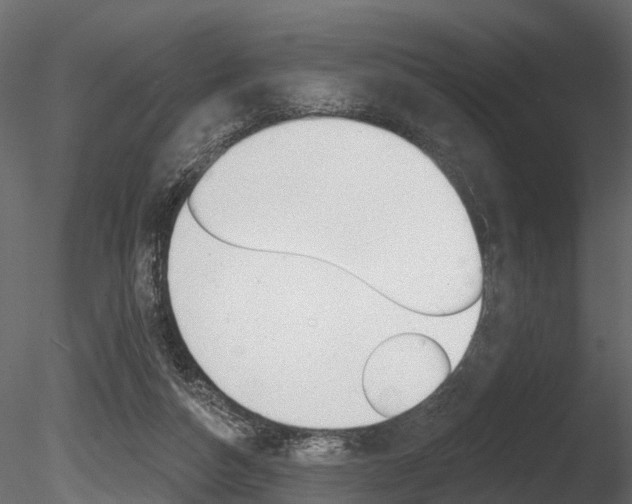 X0000085820162200703161105