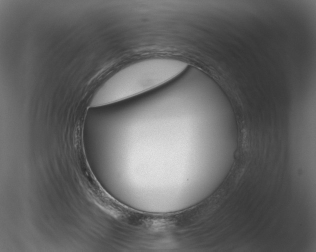 X0000085820165200703161105