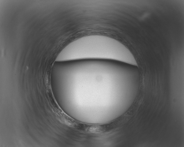 X0000085820173200703161105