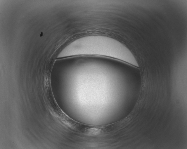 X0000085820176200703161106