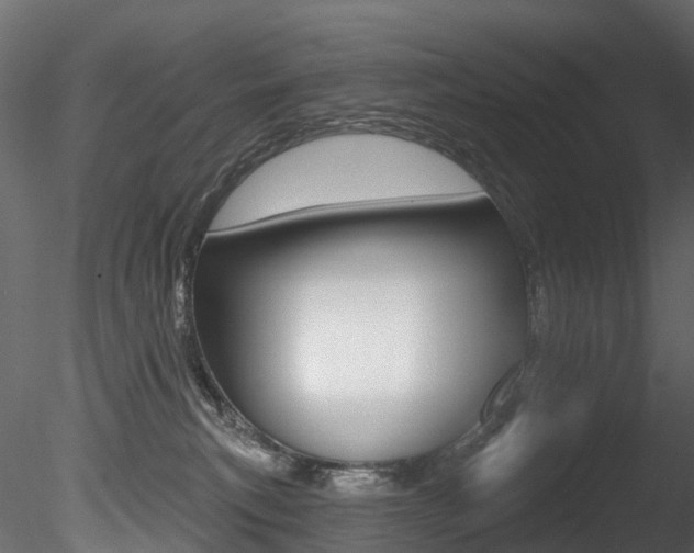 X0000085820183200703161106