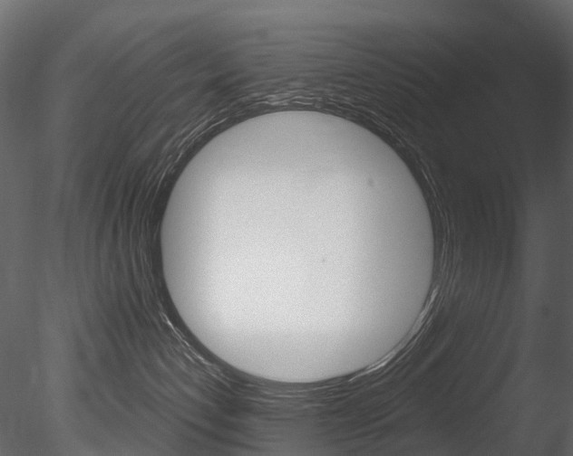X0000085820192200703161106
