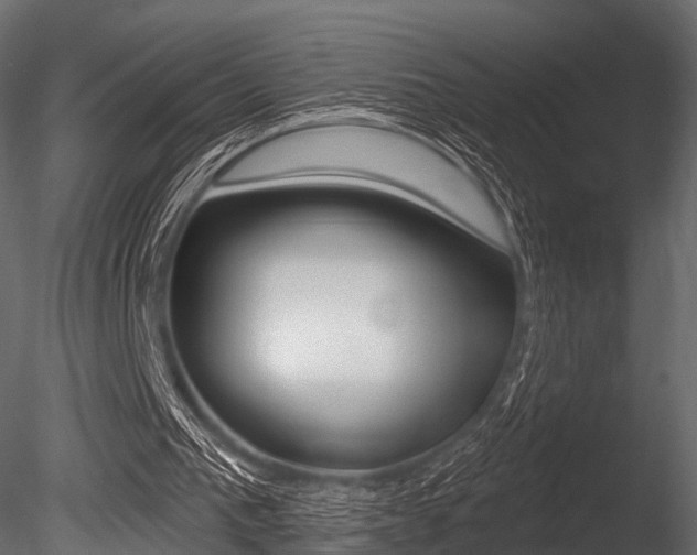 X0000085820193200703161105
