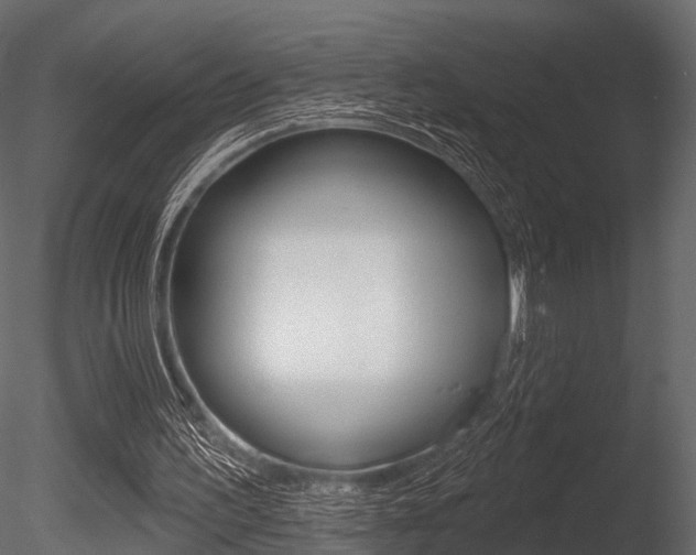X0000085820195200703161105