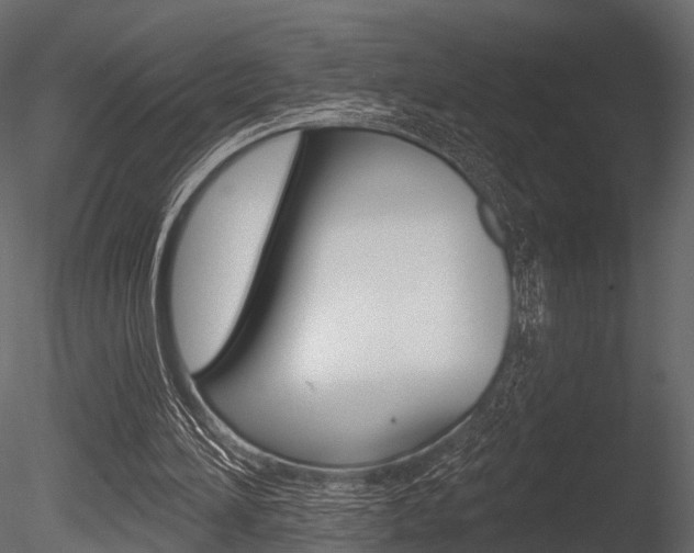 X0000085820196200703161105