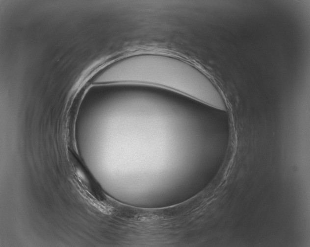 X0000085820199200703161105