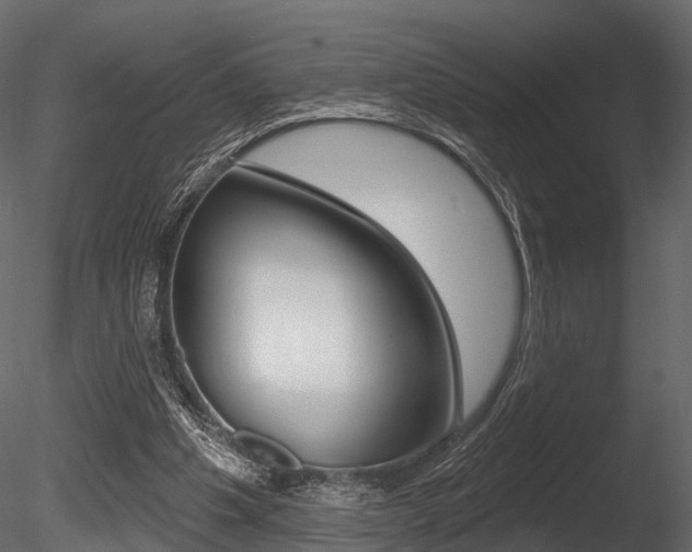 X0000085820201200703161105