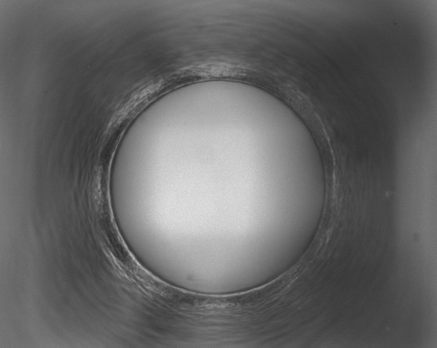 X0000085820202200703161105
