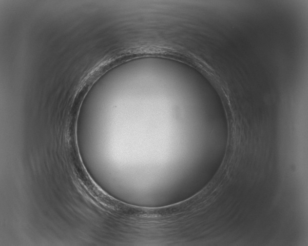 X0000085820203200703161105