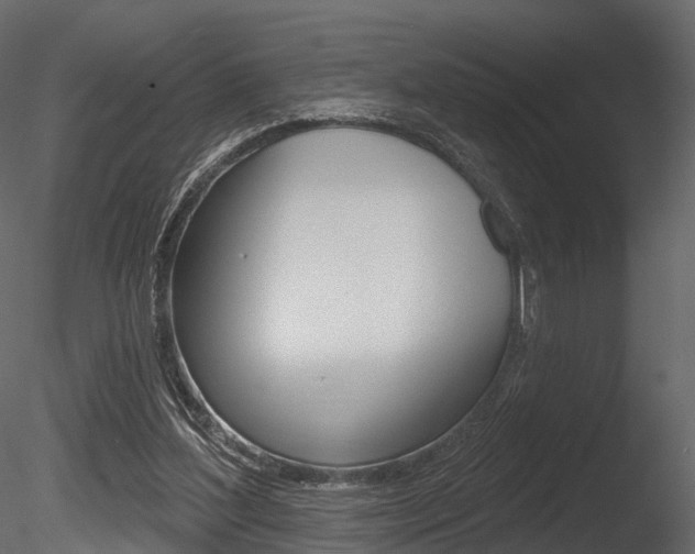 X0000085820204200703161105