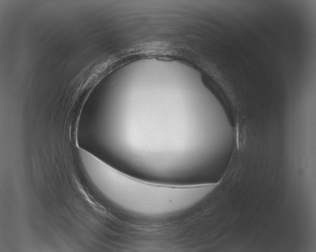 X0000085820205200703161105