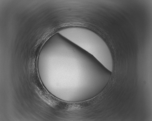 X0000085820206200703161105