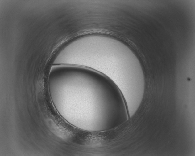 X0000085820207200703161105