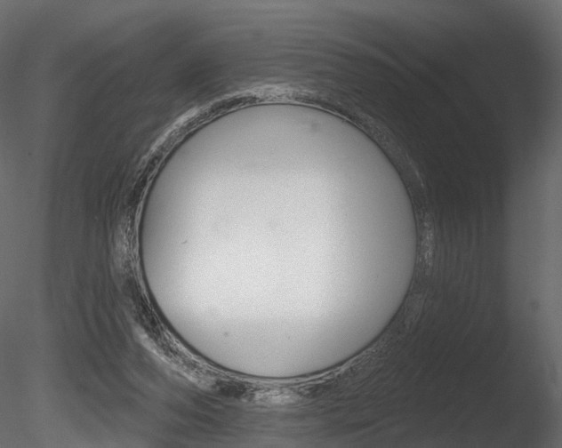 X0000085820208200703161105