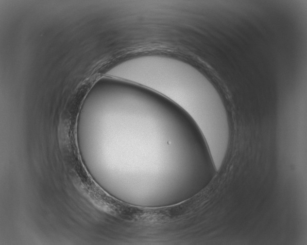 X0000085820209200703161105